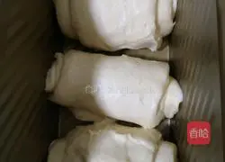 Toast bread Practice illustration 6