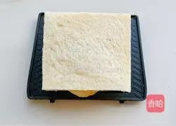 Cranberry Sandwich Recipe 8