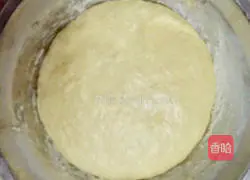 9-inch oven onion pizza recipe 7