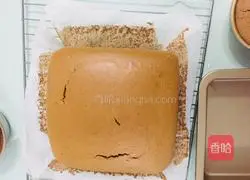 Chocolate Ancient Grass Cake Recipe Illustration 16