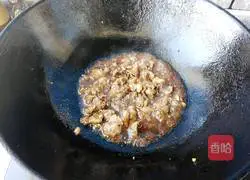 Illustration of homemade Xinjiang delicious naan fried meat 13