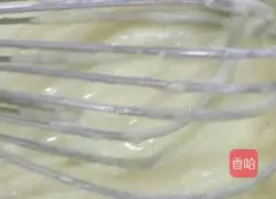 Double-layer cheesecake recipe 5