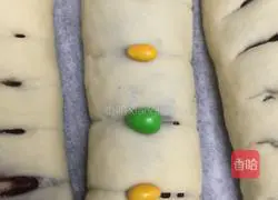 Illustration of how to make fancy bread (hand-kneaded version) 12