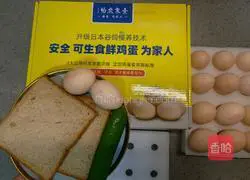 Double Egg Sandwich Recipe Illustration 1