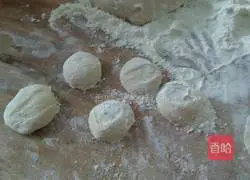 Illustration of how to make siu mai with kimchi and pork stuffing 3