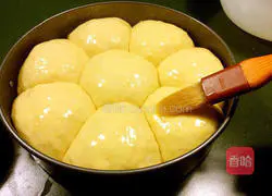 Shredded coconut Illustration of how to make sandwich yogurt bread 9