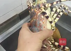 Illustration of how to cook Australian lobster 1