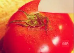 Tomato and tuna grilled cheese Illustration of how to do it 1