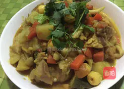 Indian Colorful Vegetable Curry Chicken Recipe Illustration 8