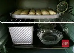 Illustration of how to make mellow milk buns (medium seeding method) 9