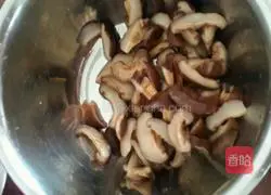 Simple Braised Chicken Recipe Illustration 2