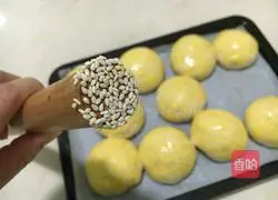 Whole wheat bread recipe 12