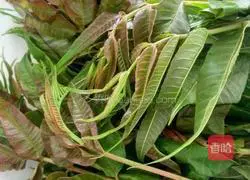 Illustration of how to make cold toon 1