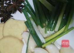 Illustration of Braised Chicken Legs with Carrots and Shiitake Mushrooms 4