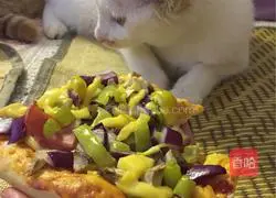 Pizza Recipe Illustration 14