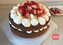 Strawberry Cocoa Naked Cake Recipe Illustration 17