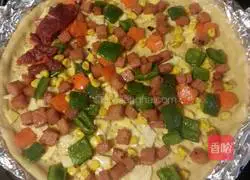 Double Illustration of how to make beef cheese pizza 16