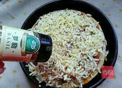 Illustration of grilled pizza 12