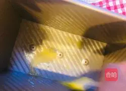 Passionate Brownie Cake Recipe Illustration 11