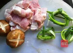 Illustration of rice cooker braised pork rice 1