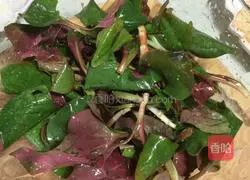 Illustration of how to make cold folded ear root (also known as Houttuynia cordata) 2