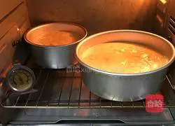 Cranberry Pumpkin Cake Recipe Illustration 21