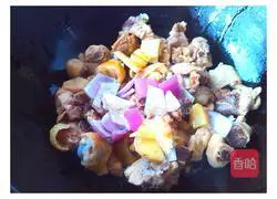 Illustration of Braised Chicken 7