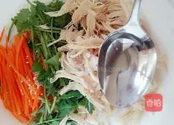 Mixed Chicken Illustration of how to make silk 11