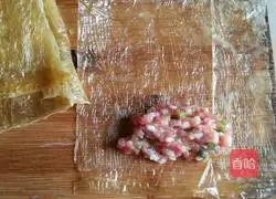 Tofu wrapped in meat Practice illustration 5