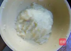 Assorted pizza recipes 3