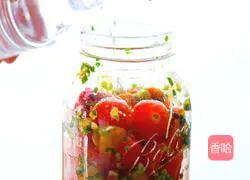 Illustration of fermented cherry tomato pickles 5