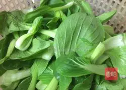 Illustration of how to make rapeseed tofu 3