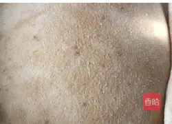 Illustration of how to make hand-shredded bread 5