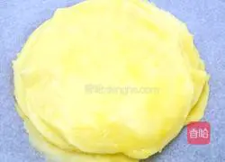 Mango Melaleuca Recipe Illustration 11