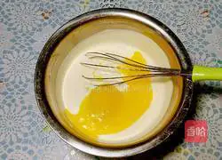 Yoghurt Cheesecake Recipe Illustration 3