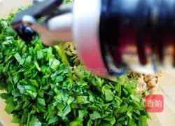 Illustration of how to make pork and leek dumplings 5