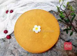 Ten-inch chiffon cake recipe illustration 21