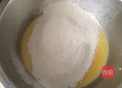 Mango Melaleuca Recipe Illustration 3