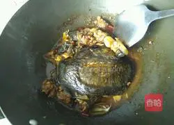 Illustration of braised soft-shell turtle 8