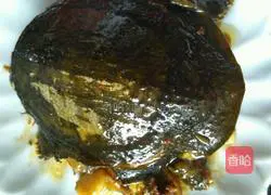 Illustration of Braised Turtle 9