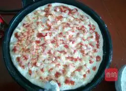 Illustration of making pizza with electric grill 12