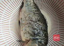 Illustration of how to make sweet and sour crucian carp 2