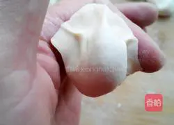 Illustration of how to make pork and leek dumplings 12