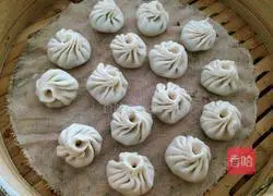 Illustration of how to make shepherd's purse and fresh meat Xiao Long Bao 8