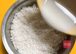 Thai Coconut Milk Mango Sticky Rice Recipe Illustration 5