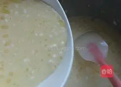 Mango pancake recipe 7