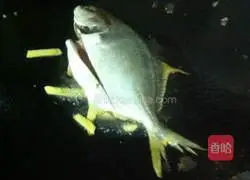 Braised tuna recipe 3