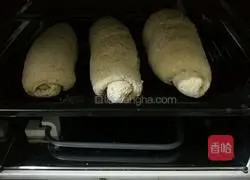 Whole wheat bread recipe 6