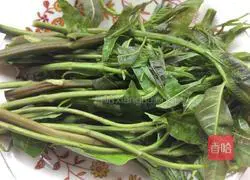 Fried toon fish Illustration of how to cook fish 1