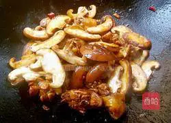 Illustration of Braised Chicken 10